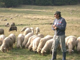 turism, program, ardeal